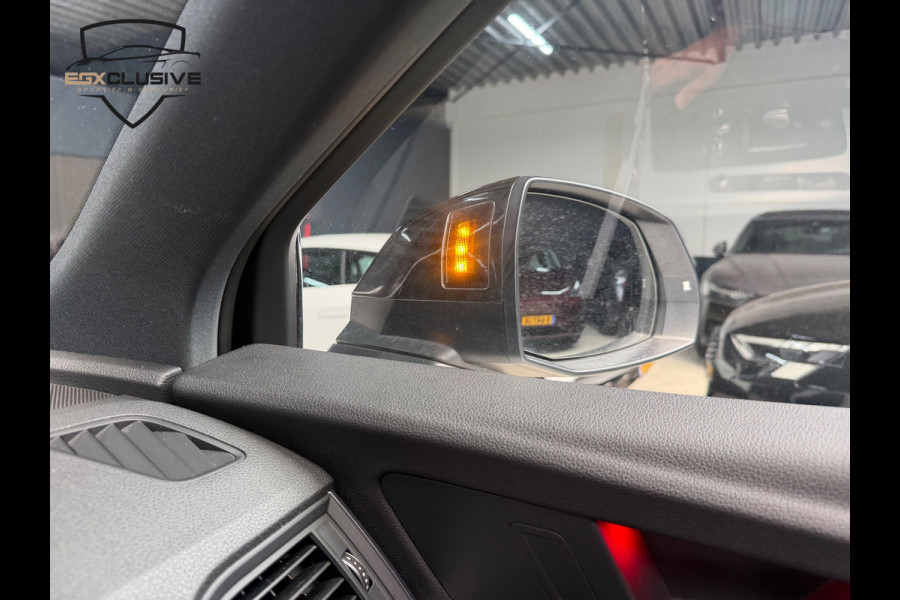 Audi SQ5 3.0 TFSI SQ5 quattro Pro Line Plus Pano/Blind/Virtual