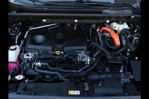 Toyota RAV4 2.5 Hybrid AWD Dynamic | Panoramadak | Winter Pack | Dodehoek