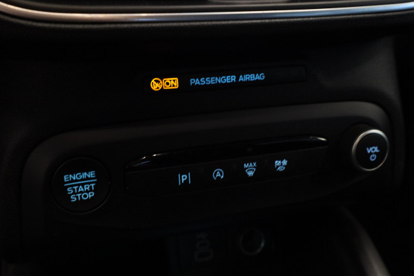 Ford FOCUS Wagon 1.0 EcoBoost Hybrid Titanium Cruise/Climate Keyless Trekhaak NAP