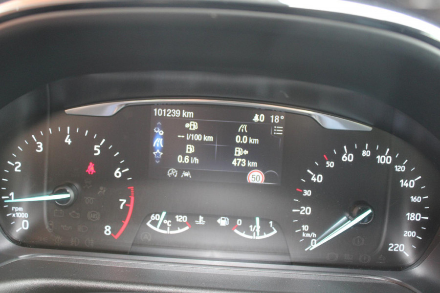 Ford Fiesta 1.0 EcoBoost Titanium | Camera | Winterpack | Navigatie | Licht metalen velgen