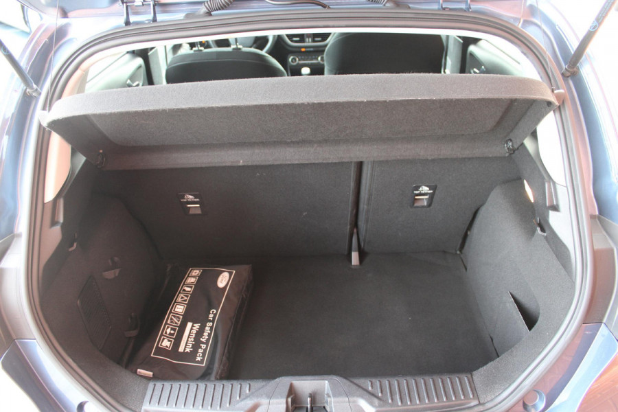 Ford Fiesta 1.0 EcoBoost Titanium | Camera | Winterpack | Navigatie | Licht metalen velgen