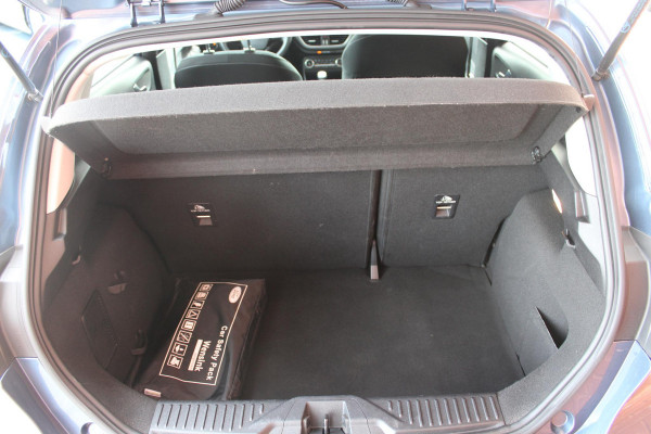 Ford Fiesta 1.0 EcoBoost Titanium | Camera | Winterpack | Navigatie | Licht metalen velgen