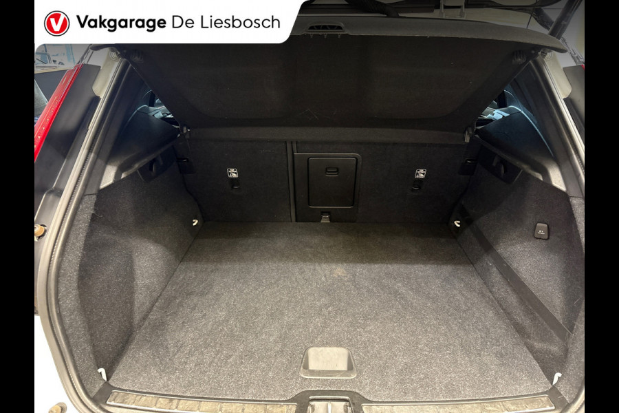 Volvo XC40 1.5 T3 R-Design/leer/harman kardon/weg klapbare trekhaak/stoelverw