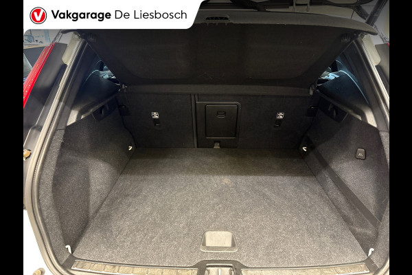 Volvo XC40 1.5 T3 R-Design/leer/harman kardon/weg klapbare trekhaak/stoelverw