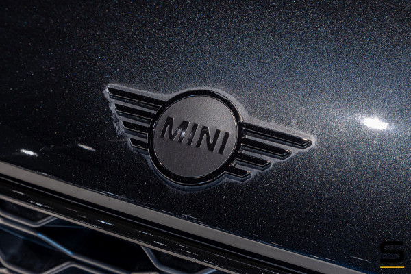 MINI Countryman 1.5 Cooper S E ALL4 Essential|Cam|Stoel
