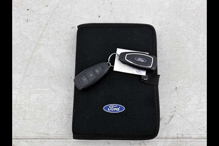 Ford Fiesta 1.0 EcoBoost Titanium (NAVIGATIE, CARPLAY, STUURBEDIENING, LM VELGEN., 1e EIGENAAR, DEALER ONDERHOUDEN)