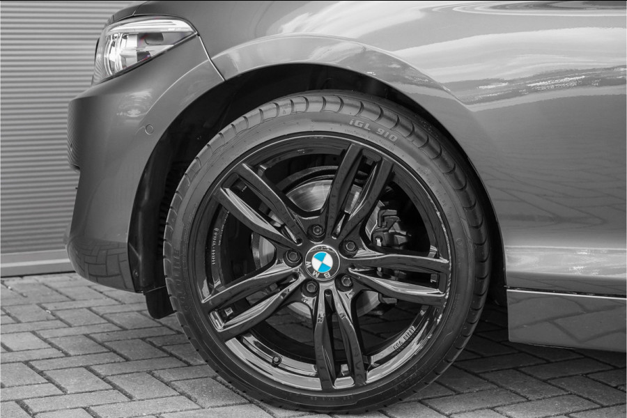 BMW 2 Serie Coupé 218i Executive Edition Camera Parkeerhulp 18"