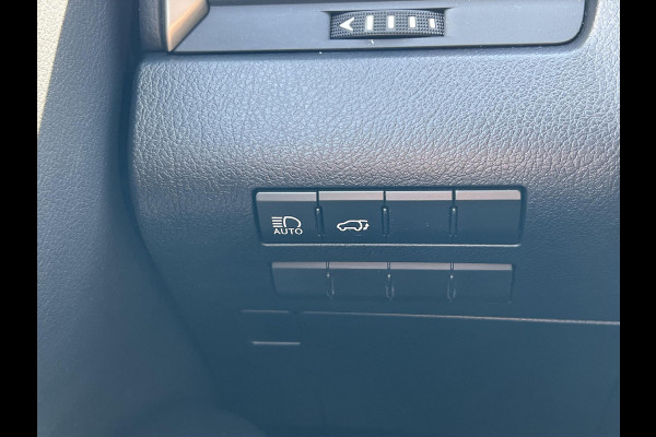 Lexus RX 450h AWD Luxury Line | Leer, Geheugenfunctie, 20 inch, Stoelventilatie, LED, Navigatie, Elektrische achterklep, 2.000KG Trekgewi