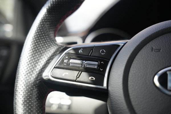 Kia ProCeed 1.6 T-GDI GT Panoramadak JBL Sportstoelen Camera Lane Assist