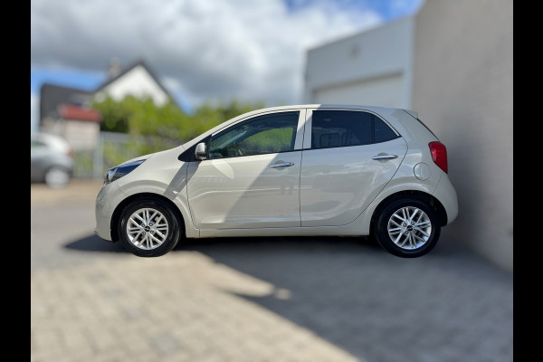 Kia Picanto 1.0 DPi DynamicLine STUUR&STOELVERW. / CAMERA / CARPLAY / ZEER UNIEKE KLEUR