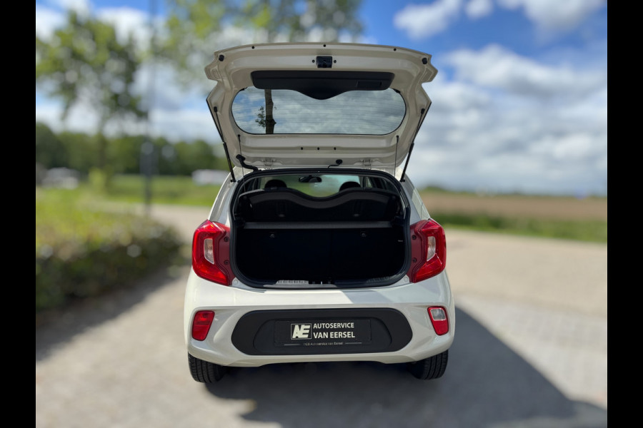 Kia Picanto 1.0 DPi DynamicLine STUUR&STOELVERW. / CAMERA / CARPLAY / ZEER UNIEKE KLEUR