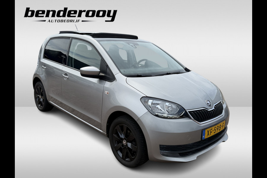Škoda Citigo 1.0 Greentech Ambition | Pano dak