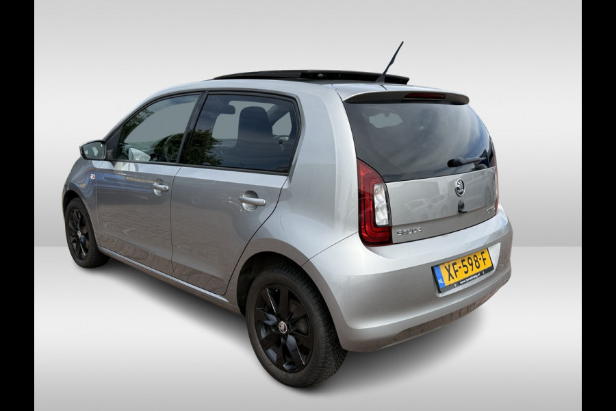 Škoda Citigo 1.0 Greentech Ambition | Pano dak