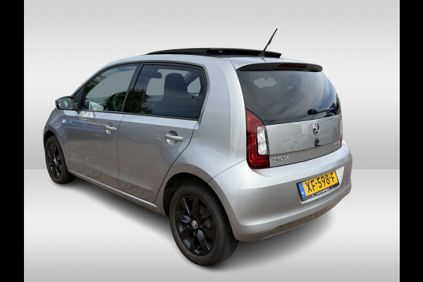 Škoda Citigo 1.0 Greentech Ambition | Pano dak