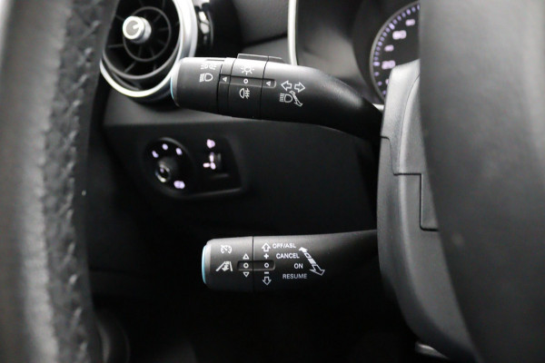 MG Mg Zs EV Luxury 45 kWh*PANO*ECC*CAMERA*ACC*CARP