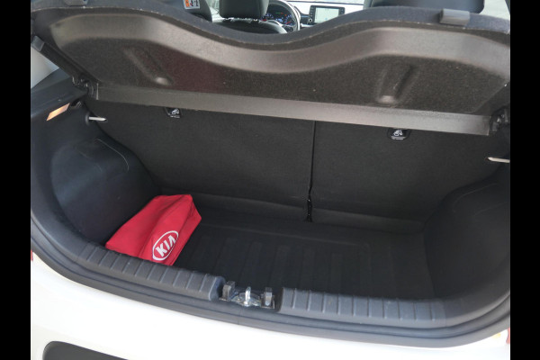 Kia Picanto 1.0 CVVT Design Edition | Camera | CarPlay | Climate | Cruise | Leder