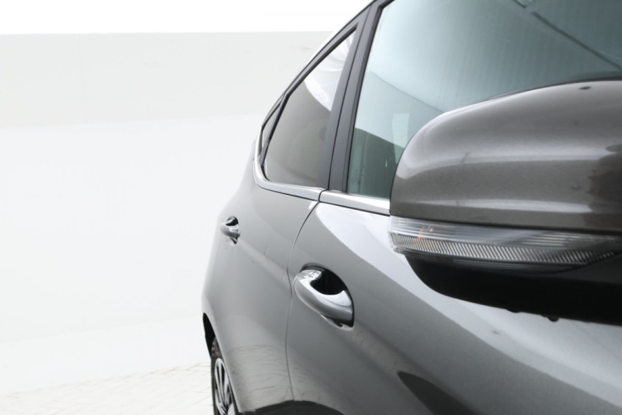 Ford Fiesta 1.0 EcoBoost Titanium 5 Deurs hb, Apple carplay,