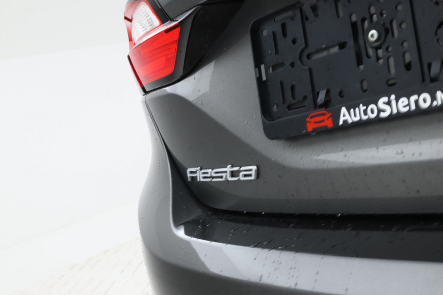 Ford Fiesta 1.0 EcoBoost Titanium 5 Deurs hb, Apple carplay,