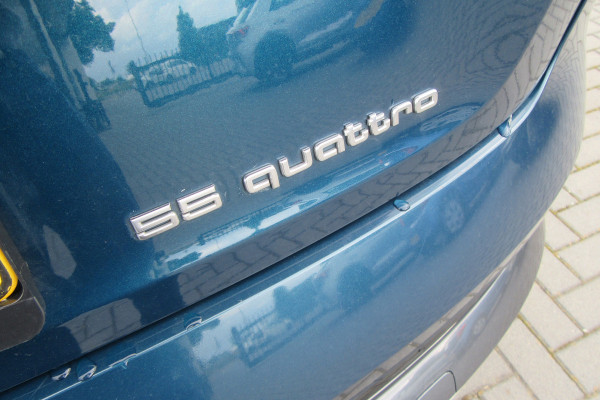 Audi e-tron e-tron 55 quattro advanced Pro Line Plus 95 kWh, SOH 93%