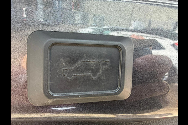 Toyota RAV4 2.5 Hybrid Executive/TREKHAAK/LEER/VOLLE AUTO