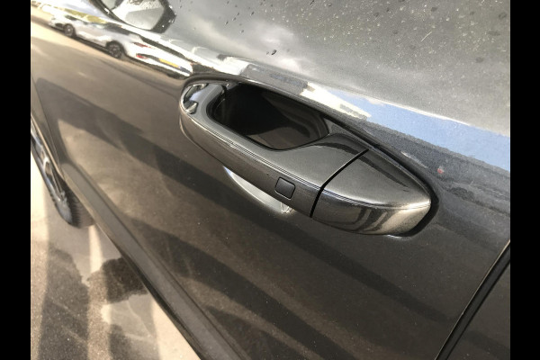 Kia Niro 1.6 PHEV ExecutiveLine 7 JAAR GARANTIE