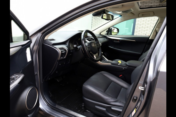 Lexus NX 300h AWD Sport Edition | Panoramadak | Leder | Apple Carplay