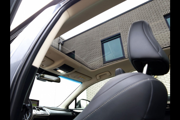 Lexus NX 300h AWD Sport Edition | Panoramadak | Leder | Apple Carplay