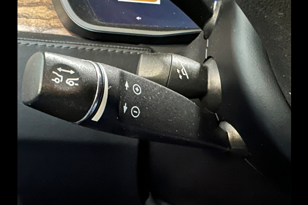 Tesla Model X 100D 6p. SOH 88%