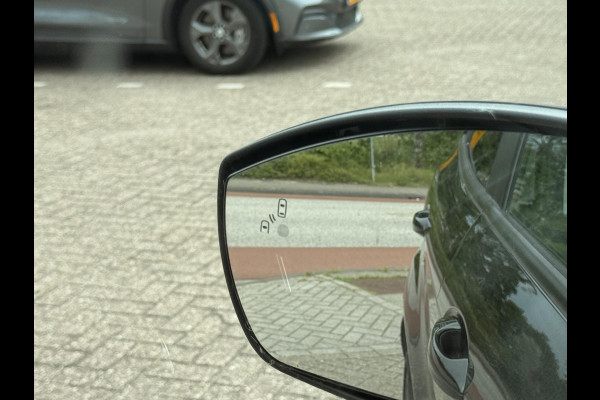 Ford EcoSport 1.0 EcoBoost ST-Line Black 125pk Achteruitrijcamera | Winterpack | Lage km stand! | Navigatie | Dodehoeksensoren