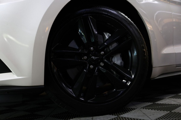 Ford Mustang Convertible 2.3 EcoBoost AVM NAVI CLIMA CAMERA KEYLSS PDC CRUISE LEDER SUBWH "19