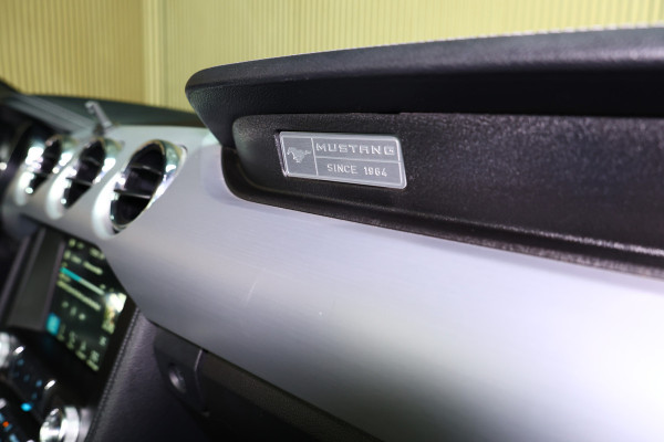 Ford Mustang Convertible 2.3 EcoBoost AVM NAVI CLIMA CAMERA KEYLSS PDC CRUISE LEDER SUBWH "19