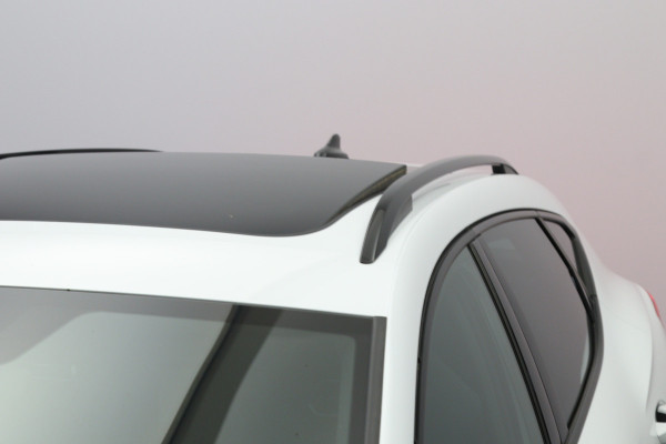 CUPRA Formentor 1.4 e-Hybrid 245 PK VZ Performance PHEV, Panoramadak, Trekhaak, Leder