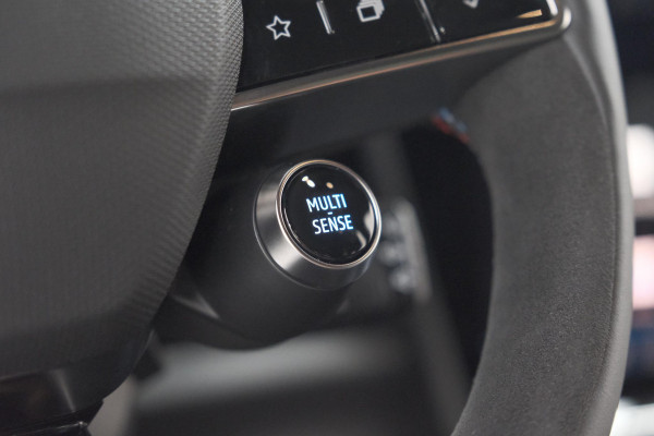 Renault Austral 1.2 E-Tech full hybrid 200 Esprit Alpine | 360 Camera | Adaptieve Cruise Control | Matrix Koplampen | Elektrische Kofferklep