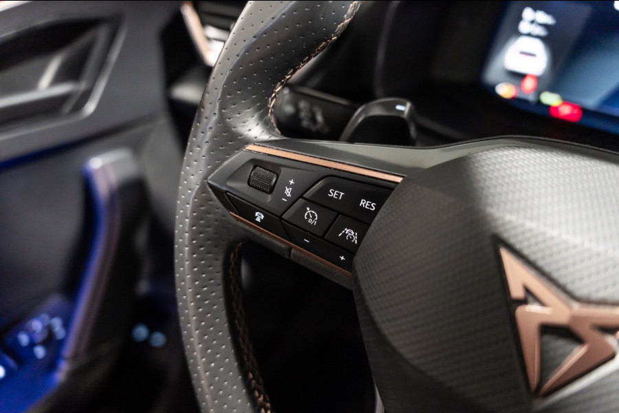 CUPRA Formentor VZ Copper Edition Pano Leder Memory Camera Led