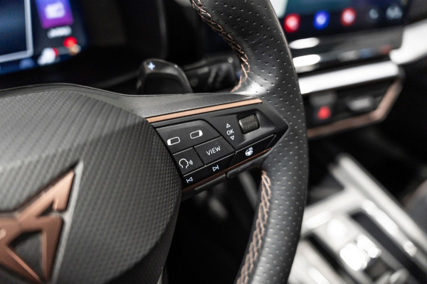 CUPRA Formentor VZ Copper Edition Pano Leder Memory Camera Led