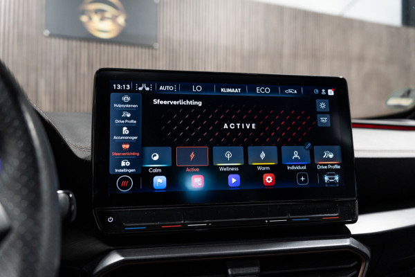 CUPRA Formentor VZ Copper Edition Pano Leder Memory Camera Led