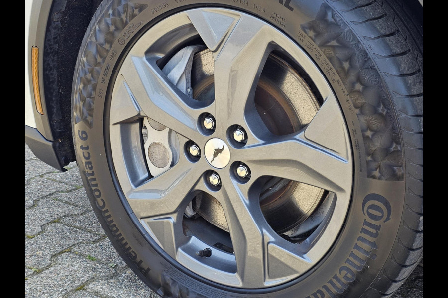 Ford Mustang Mach-E RWD 75 kWh | 59.800 KM | SOH 93% | Lederen Interieur | Technology Pack | Panorama Dak |