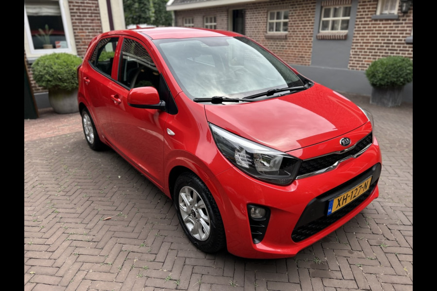 Kia Picanto 1.0 CVVT Navi, Camera, Carplay, LMV, Dealeronderhouden