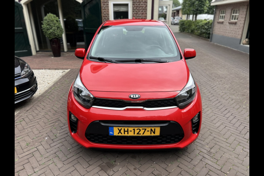 Kia Picanto 1.0 CVVT Navi, Camera, Carplay, LMV, Dealeronderhouden