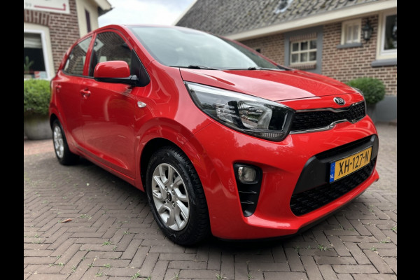 Kia Picanto 1.0 CVVT Navi, Camera, Carplay, LMV, Dealeronderhouden