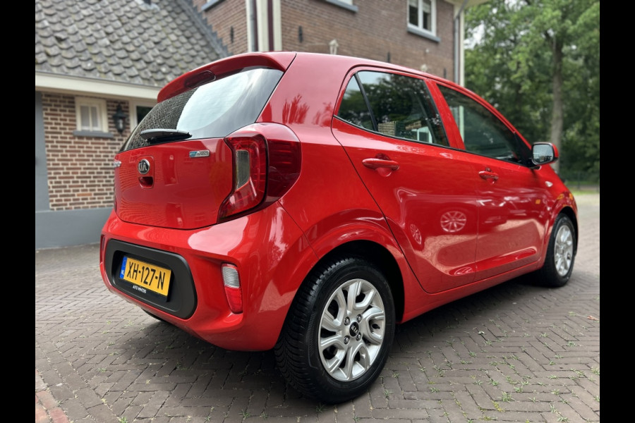 Kia Picanto 1.0 CVVT Navi, Camera, Carplay, LMV, Dealeronderhouden
