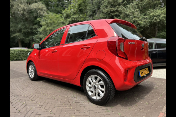 Kia Picanto 1.0 CVVT Navi, Camera, Carplay, LMV, Dealeronderhouden