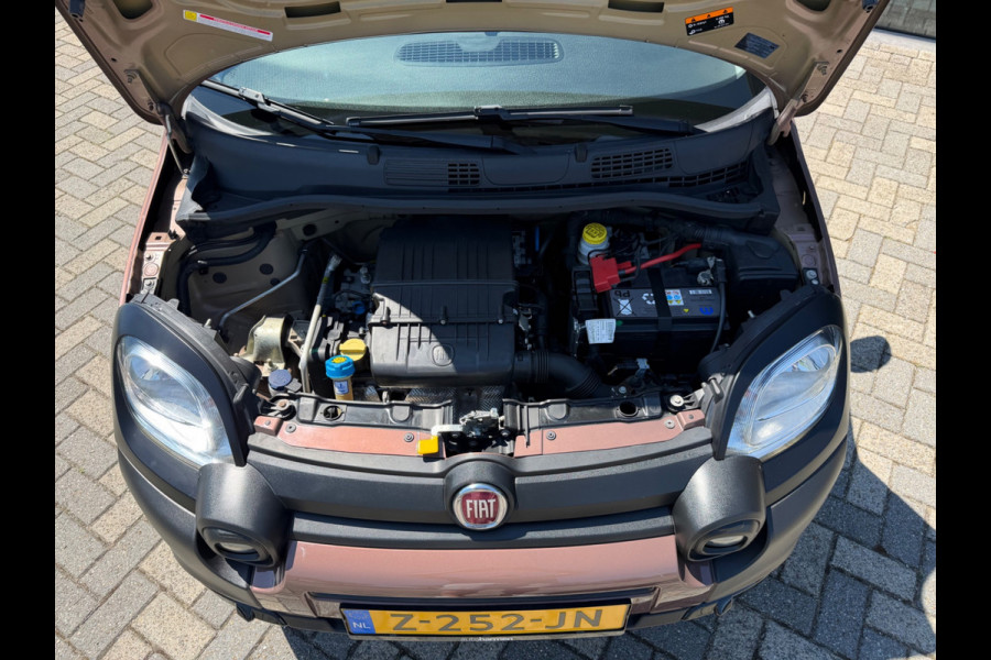Fiat Panda 1.2 TRUSSARDI Cross, Climate, PDC