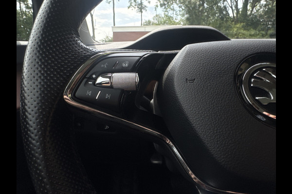 Škoda ENYAQ iV 60 LEDER/PANORAMA/NAVI