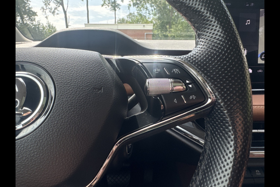 Škoda ENYAQ iV 60 LEDER/PANORAMA/NAVI