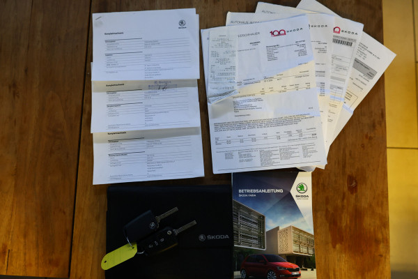 Škoda Fabia AVM AIRCO BLUETOOTH STOELVW PDC "19