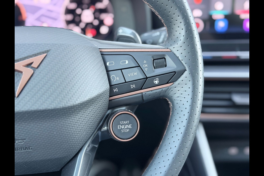CUPRA Formentor 1.4 e-Hybrid VZ Tribe Edition Pano/360/Memory