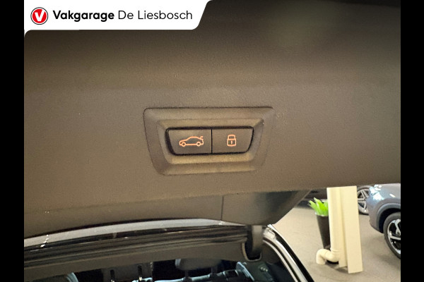 BMW X3 XDrive30e High Executive M-sport / panoramadak / head-up / Leder-sportstoelen / cruisecontrol / led