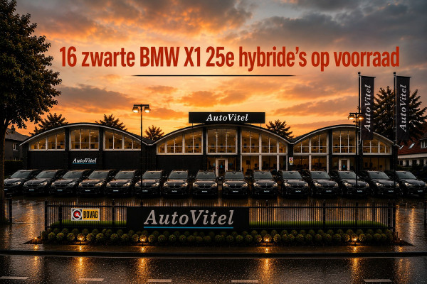 BMW X1 xDrive25e | Head-Up | Trekhaak | Leder | Camera | Stoelverwarming