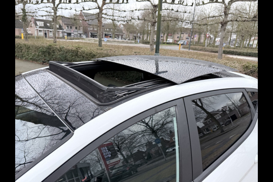 Ford Fiesta 1.0 EcoBoost 125 PK ST-Line X Automaat Panoramadak